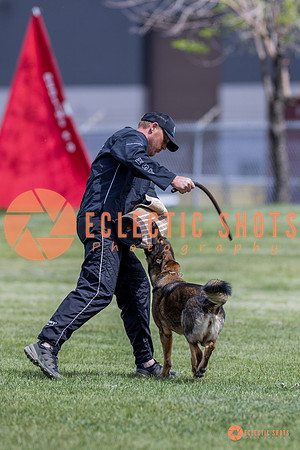 2025-K9Force-MayExams-7378