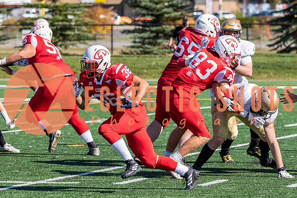 CalgaryColts-0813