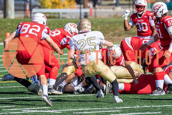 CalgaryColts-9504