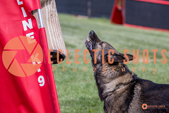 2025-K9Force-MayExams-6909
