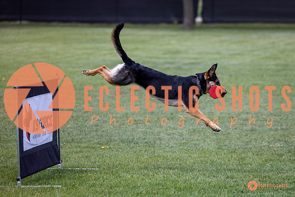 2025-K9Force-MayExams-6179