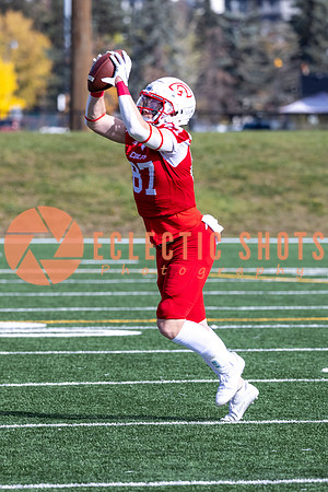 CalgaryColts-9087
