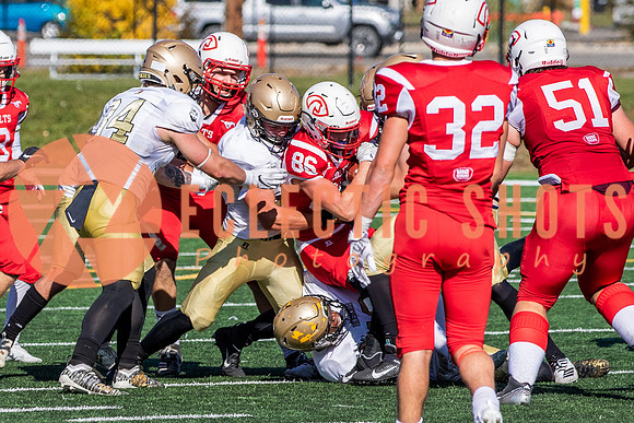 CalgaryColts-1414