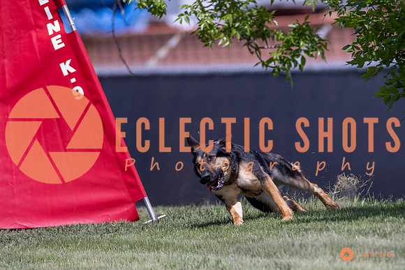2025-K9Force-MayExams-8010