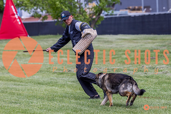 2025-K9Force-MayExams-6934