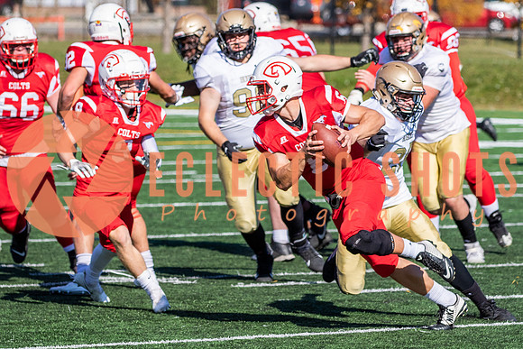 CalgaryColts-1380