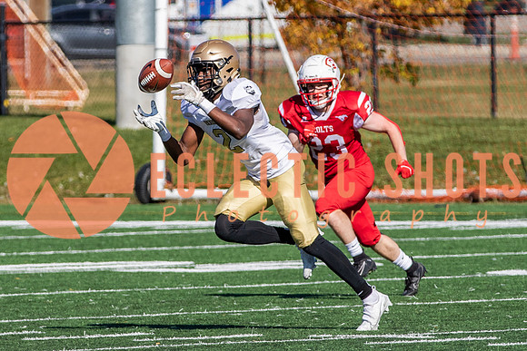CalgaryColts-1181