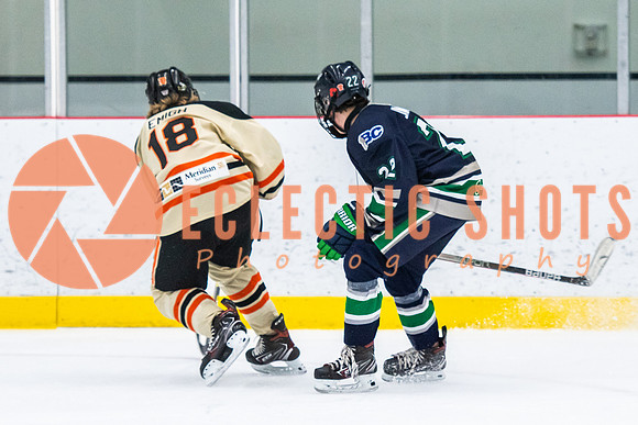 RMC2021-11-12-LloydBobcats-FVT-Birds-6090