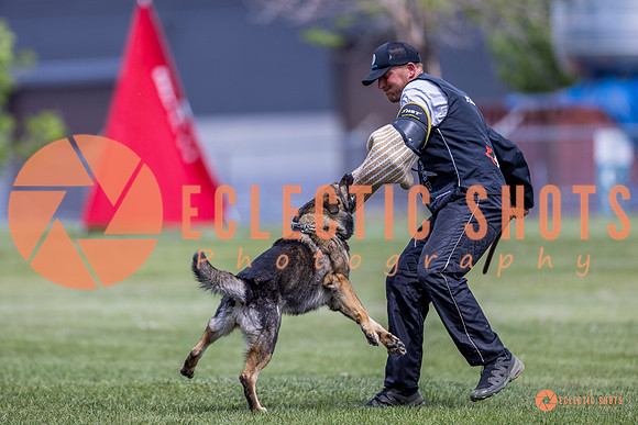 2025-K9Force-MayExams-7757