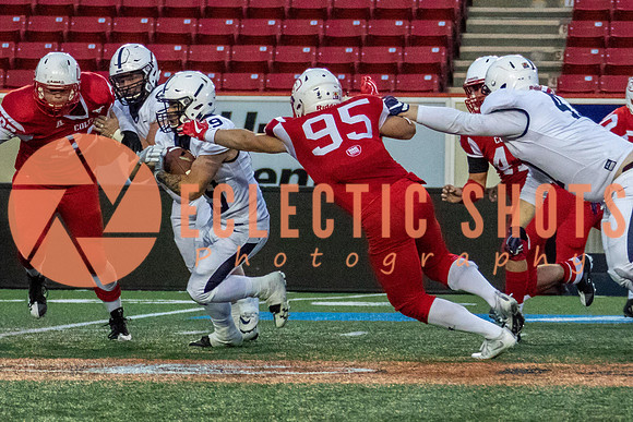 CalgaryColts2018-1551