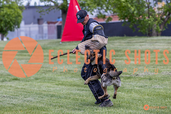 2025-K9Force-MayExams-6940