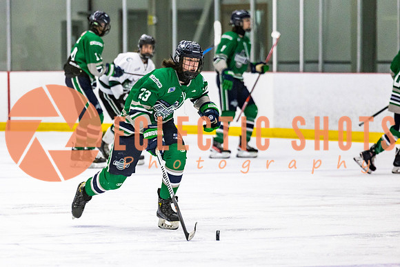 2022.11.12ShParkFlyers-FVTBirds-6980