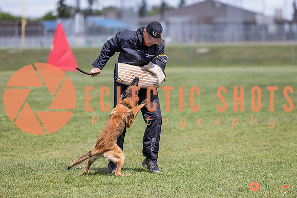 2025-K9Force-MayExams-7728