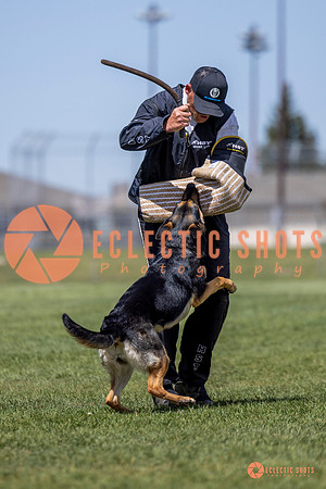 2025-K9Force-MayExams-7281