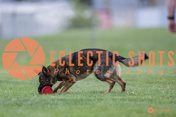 2025-K9Force-MayExams-6116