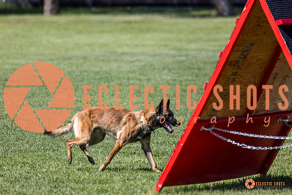 2025-K9Force-MayExams-7323