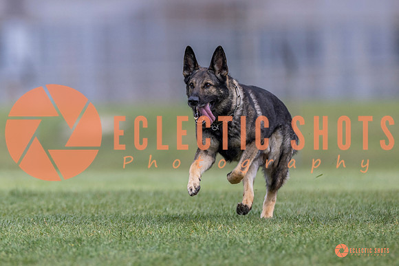 2025-K9Force-MayExams-6576