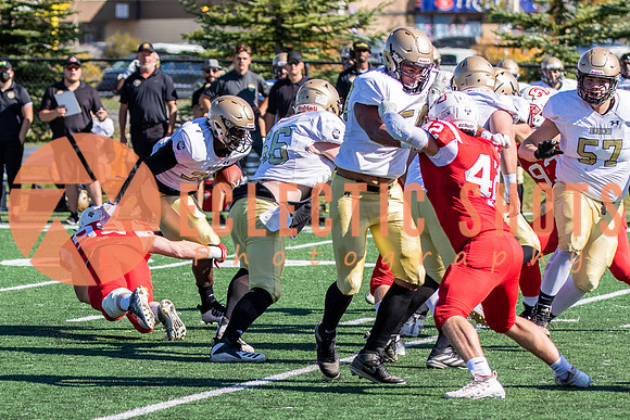 CalgaryColts-0522