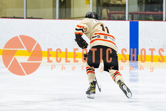RMC2021-11-12-LloydBobcats-FVT-Birds-6017