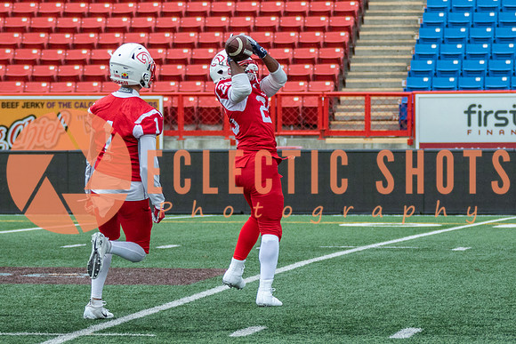 CalgaryColts2018-0892