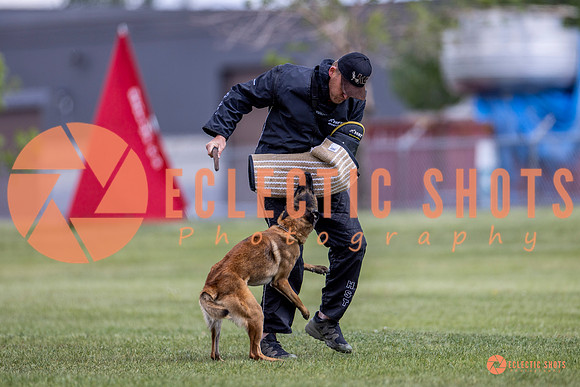 2025-K9Force-MayExams-8557