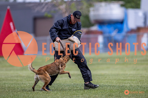 2025-K9Force-MayExams-8560
