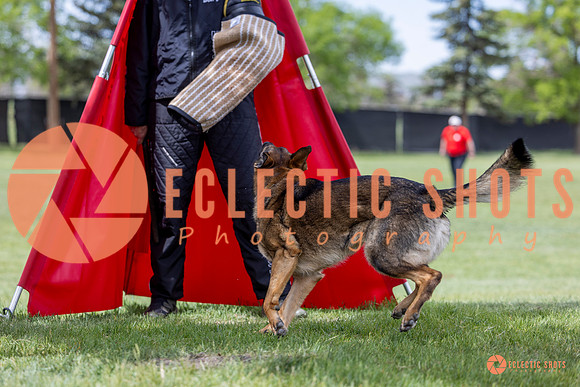 2025-K9Force-MayExams-6312