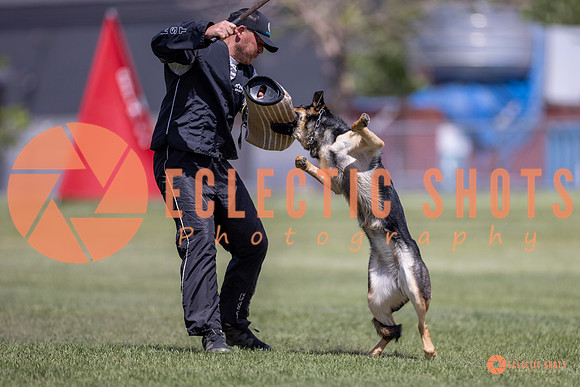 2025-K9Force-MayExams-8093