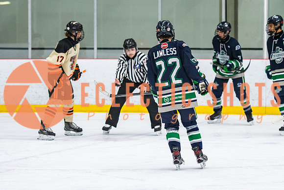 RMC2021-11-12-LloydBobcats-FVT-Birds-6062