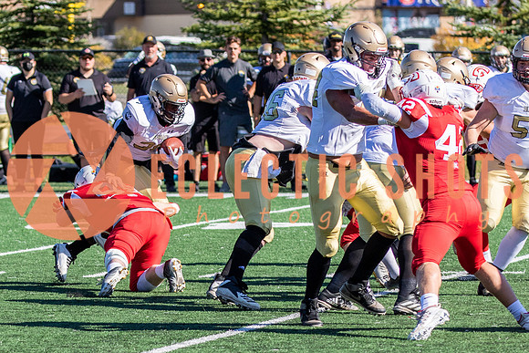 CalgaryColts-0521