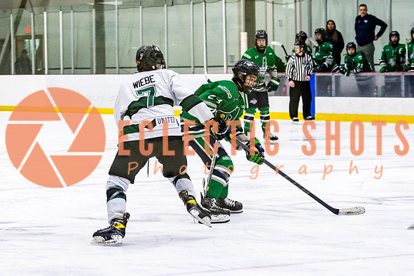2022.11.12ShParkFlyers-FVTBirds-6958