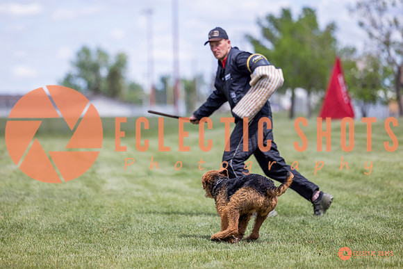 2025-K9Force-MayExams-7785