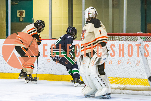 RMC2021-11-12-LloydBobcats-FVT-Birds-5995