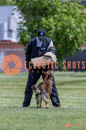 2025-K9Force-MayExams-7396