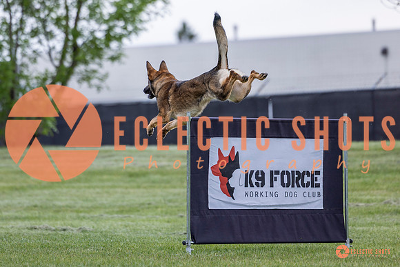 2025-K9Force-MayExams-5470