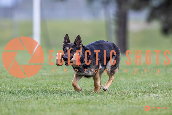 2025-K9Force-MayExams-6330