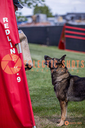 2025-K9Force-MayExams-6828