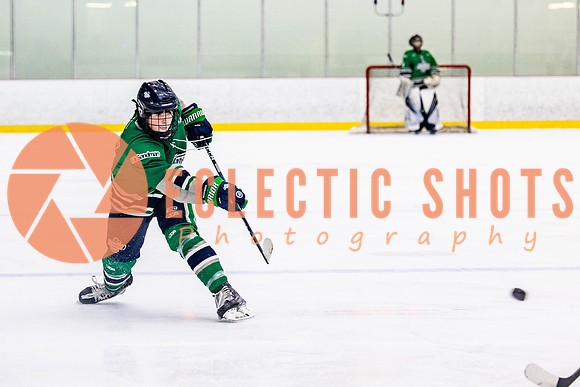 2022.11.12ShParkFlyers-FVTBirds-7000