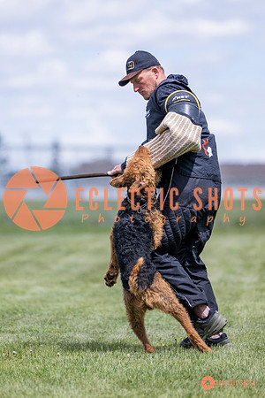 2025-K9Force-MayExams-7803