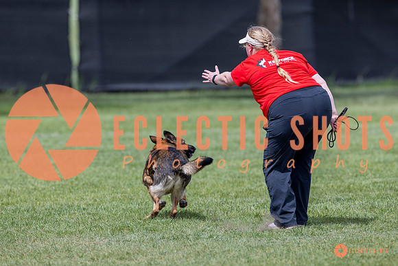 2025-K9Force-MayExams-7330