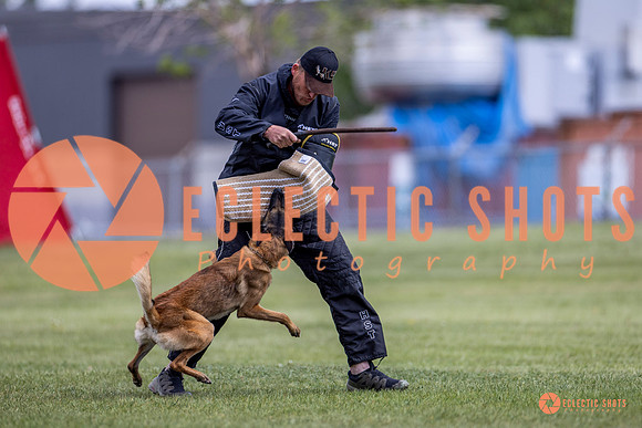 2025-K9Force-MayExams-8561