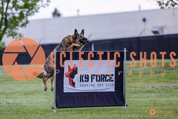 2025-K9Force-MayExams-5424