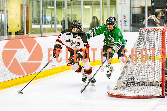 2022.11.11CalBisons-FVTBirds-4205