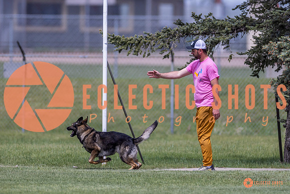 2025-K9Force-MayExams-7722