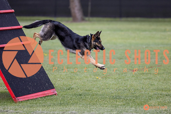 2025-K9Force-MayExams-5771