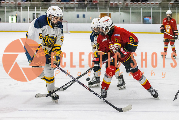 2021-11-13-StAlbertSabres-CalFlames-3756