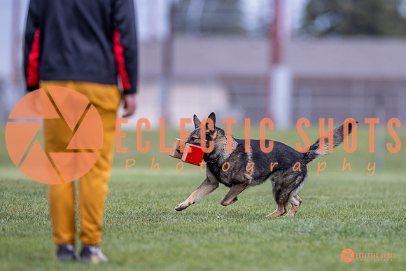 2025-K9Force-MayExams-6629