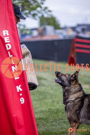 2025-K9Force-MayExams-6843