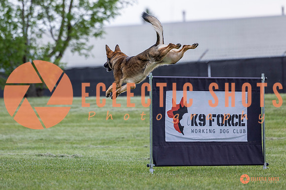 2025-K9Force-MayExams-5471
