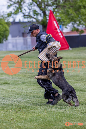 2025-K9Force-MayExams-6943